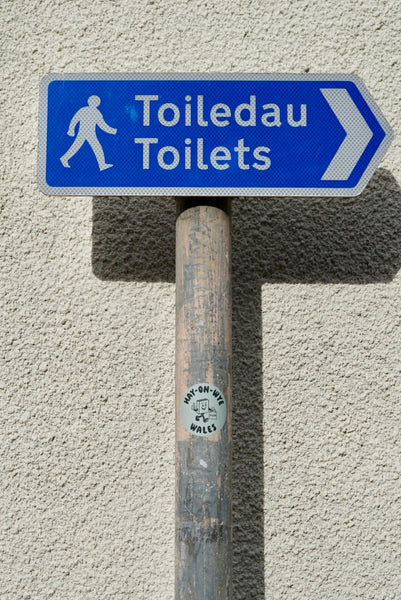 FLOW Hay-on-Wye Sticker - Green