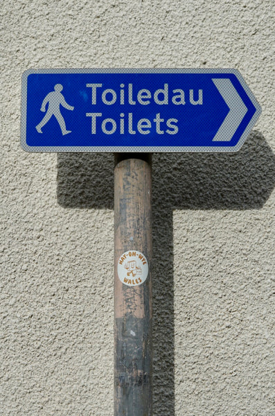 FLOW Hay-on-Wye Sticker - Natural