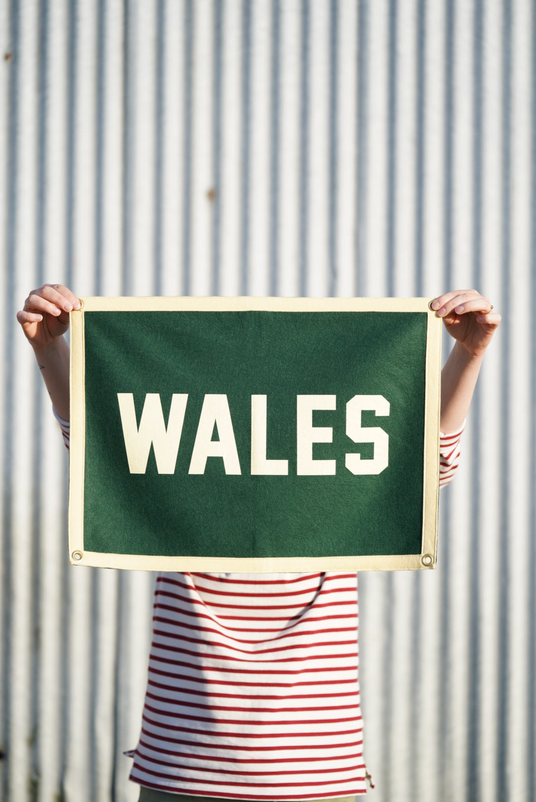 Oxford Pennant - WALES Camp Flag