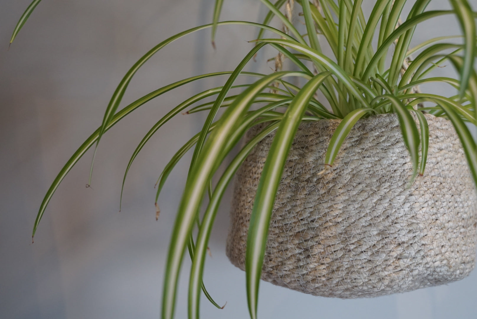 Tapered Jute Hanging Planter