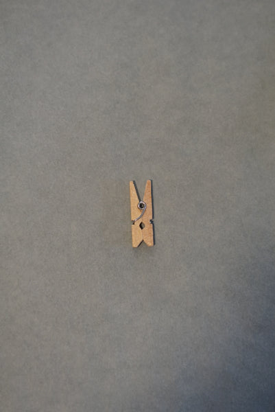 Mini Wooden Pegs x 10