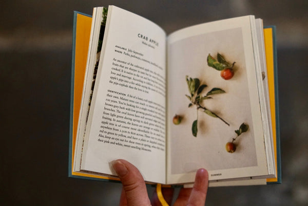 Book - The Urban Forager - hoxton mini press